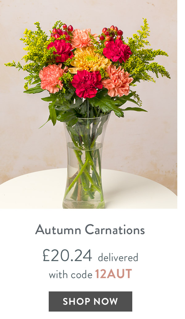 Autumn Carnations - only &pound;20.24 delivered