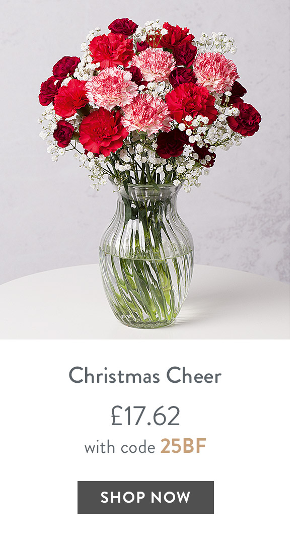 Christmas Cheer - only &pound;17.62 with code