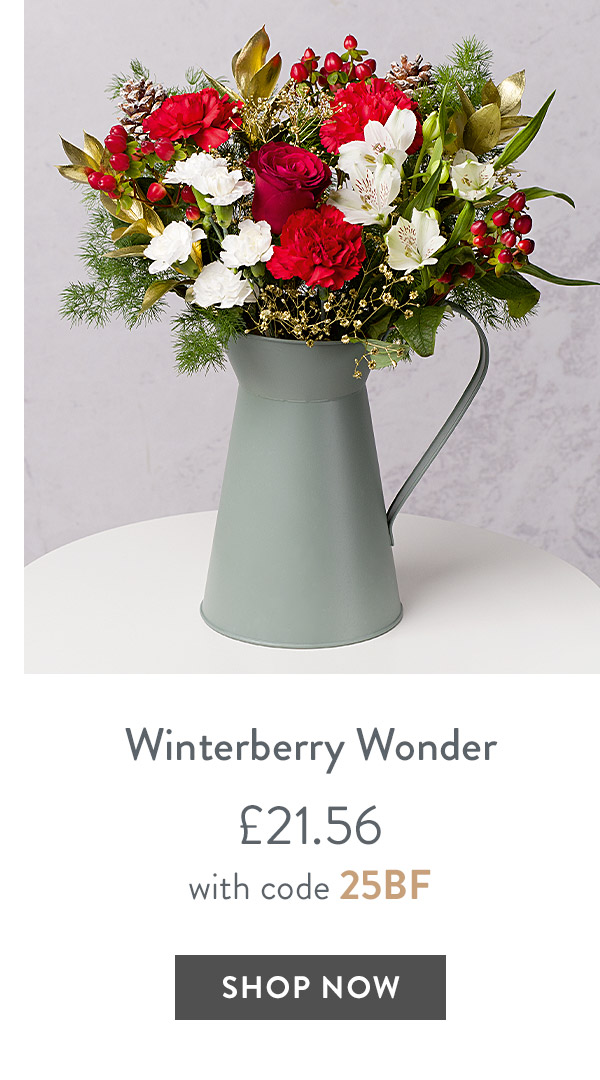 Winterberry Wonder - only &pound;21.56 with code