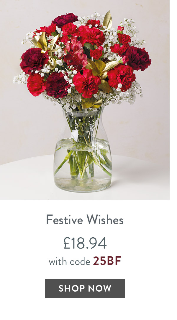 Festive Wishes - only &pound;18.94 with code