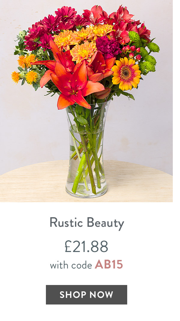 Rustic Beauty - only &pound;21.88 with code