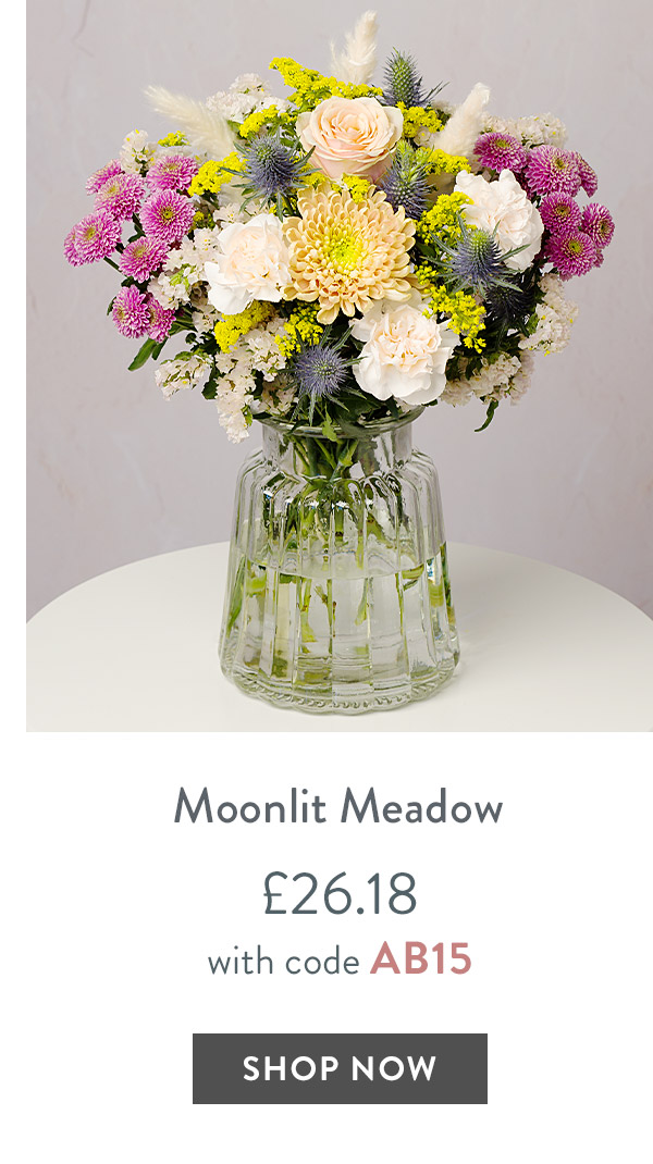 Moonlit Meadow - only &pound;26.18 with code