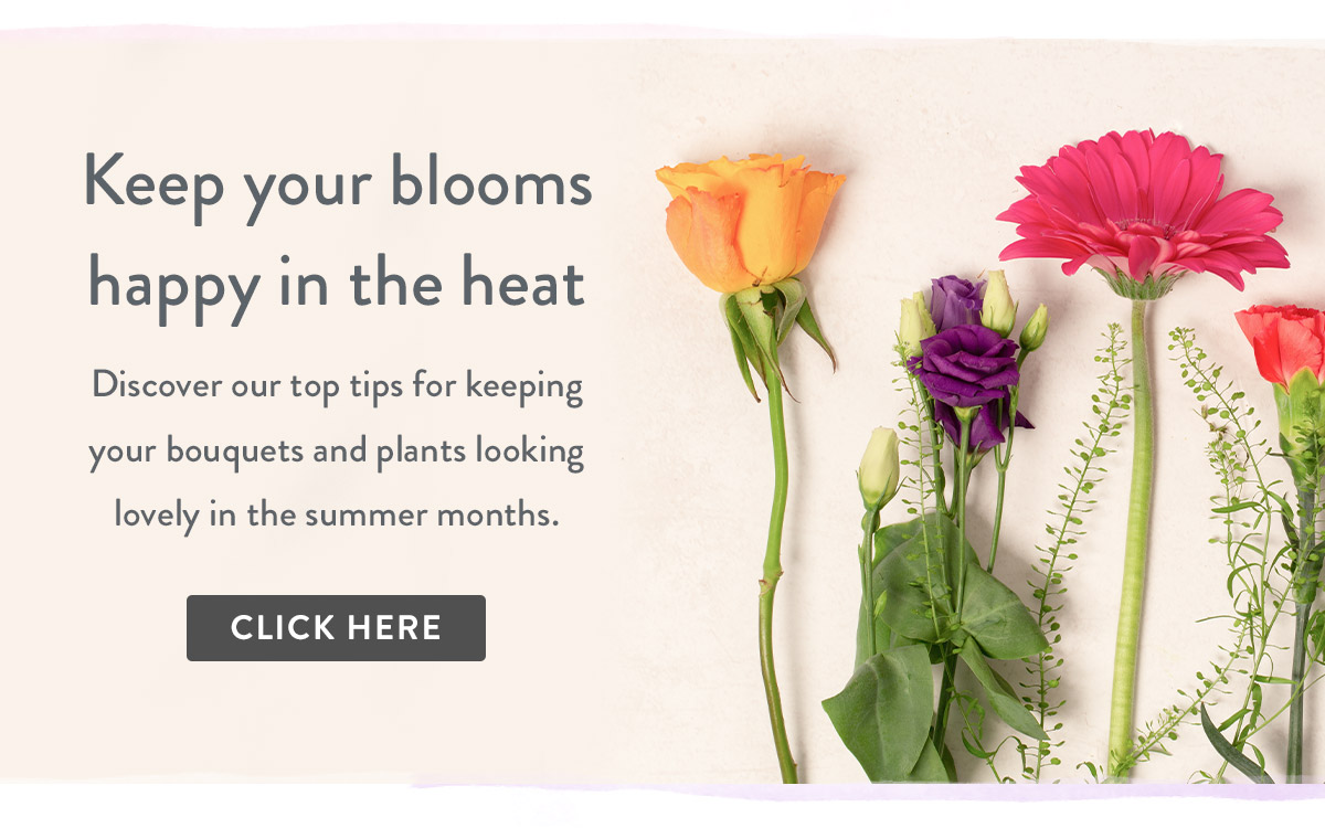 Keep your blooms happy in the heat