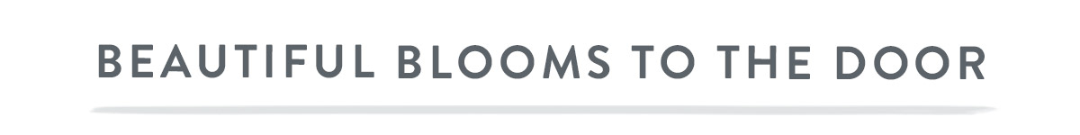 Beautiful blooms to the door