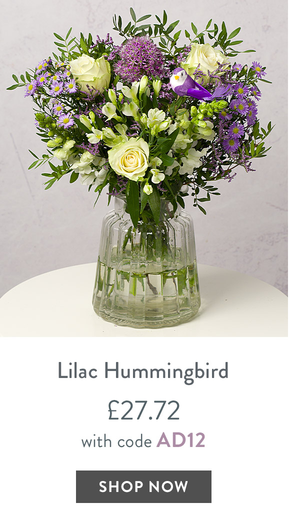 Lilac Hummingbird - only &pound;27.72 with code
