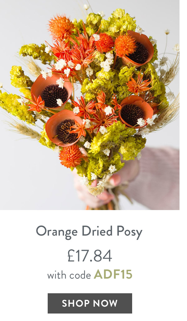 Orange Dried Posy - only &pound;17.84 with code