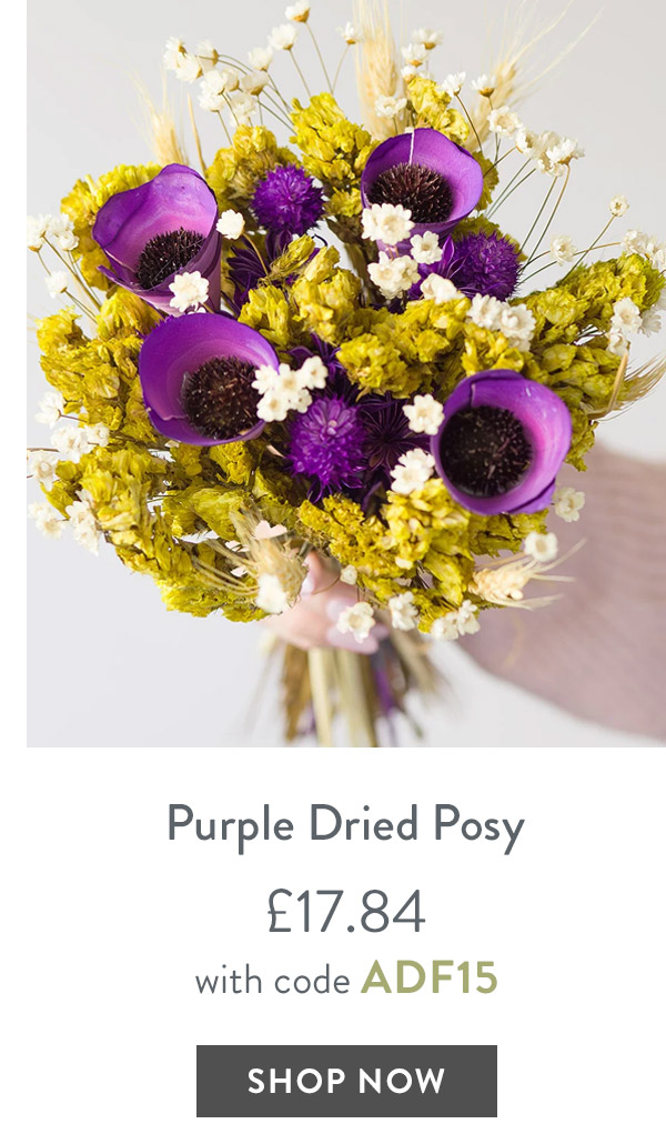 Purple Dried Posy - only &pound;17.84 with code