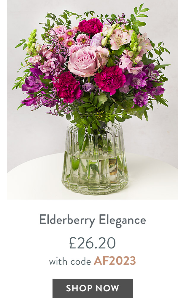 Elderberry Elegance - only &pound;26.20 with code