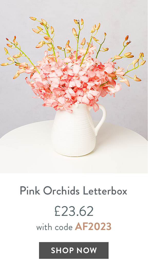 Pink Orchids Letterbox - only &pound;23.62 with code