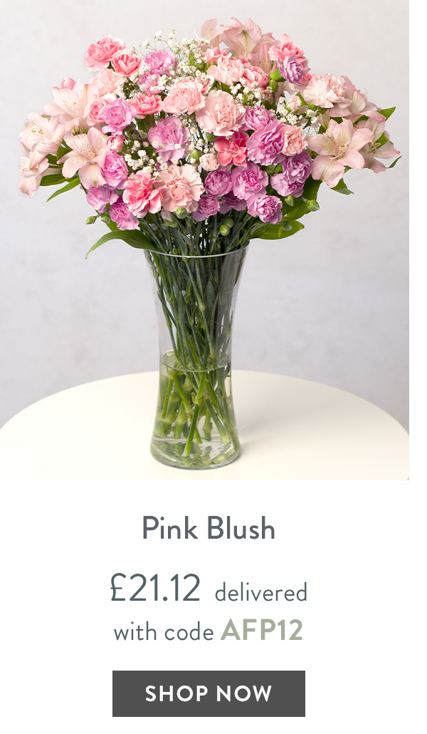 Pink Blush - only &pound;21.12 delivered