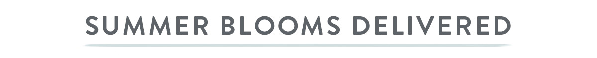 Summer Blooms Delivered