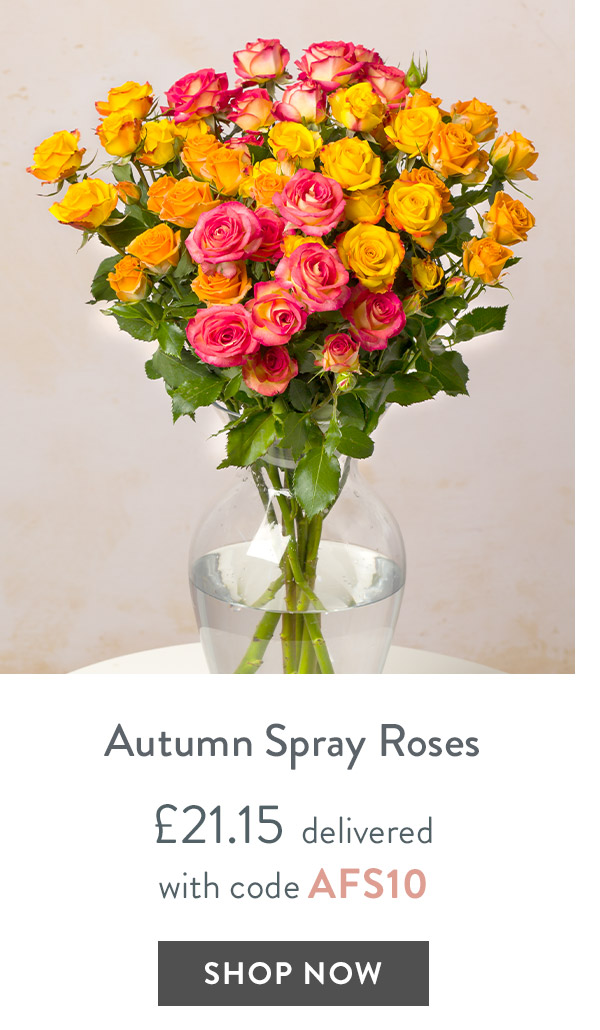 Autumn Spray Roses - only &pound;21.15 delivered