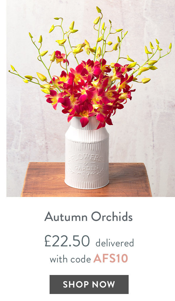 Autumn Orchids - only &pound;22.50 delivered