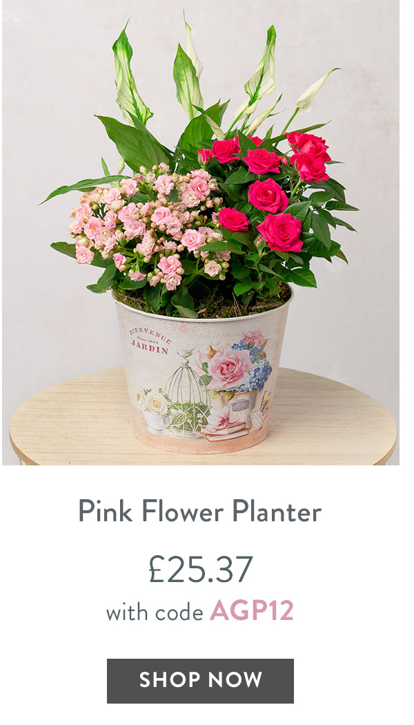 Pink Flower Planter - only &pound;25.37