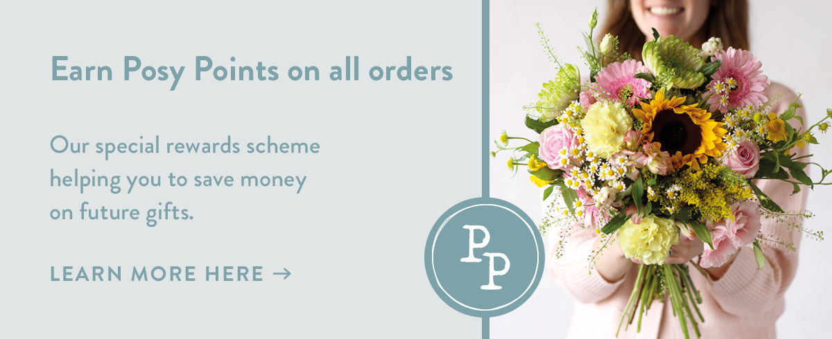 Earn Posy Points in all orders