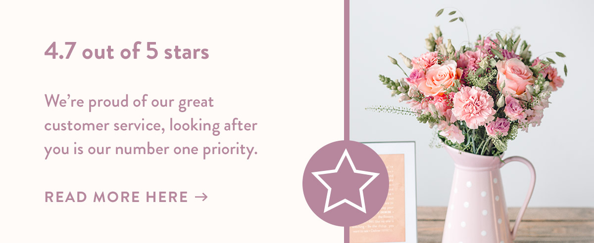 4.7 out of 5 stars