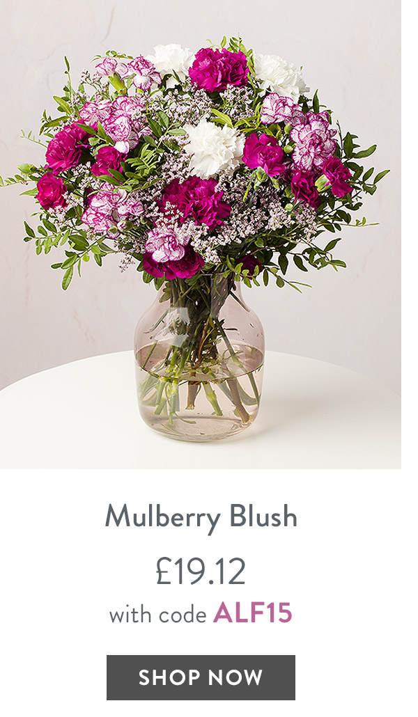 Mulberry Blush - only &pound;19.12 with code