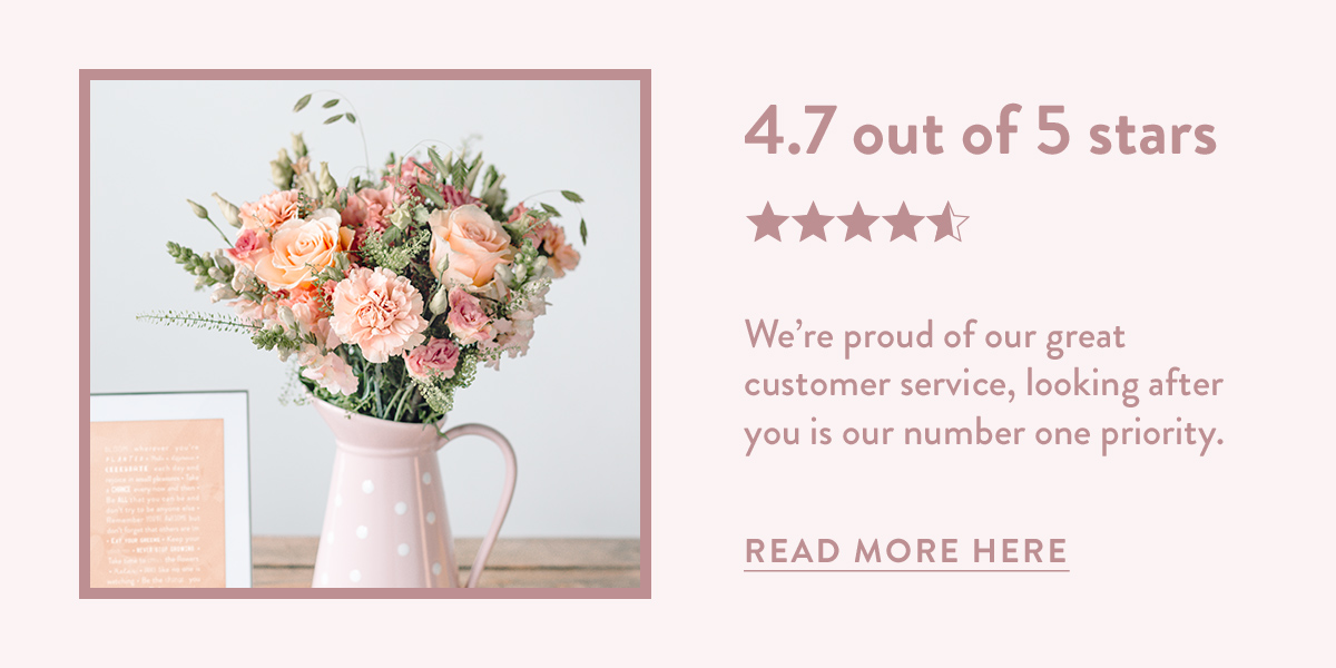 4.7 out of 5 stars