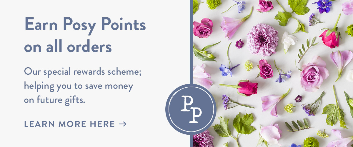 Earn Posy Points on all orders