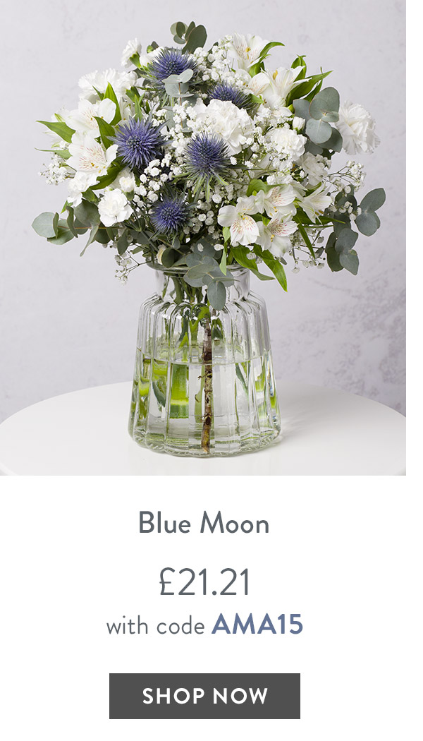 Blue Moon - only &pound;21.21 with code