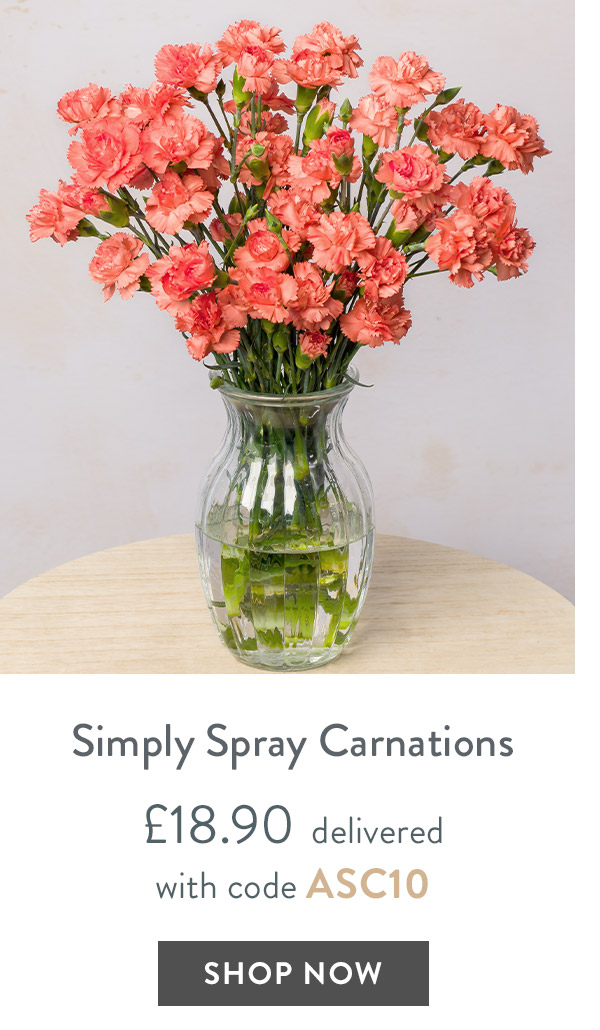 Simply Spray Carnations - only &pound;18.90 delivered