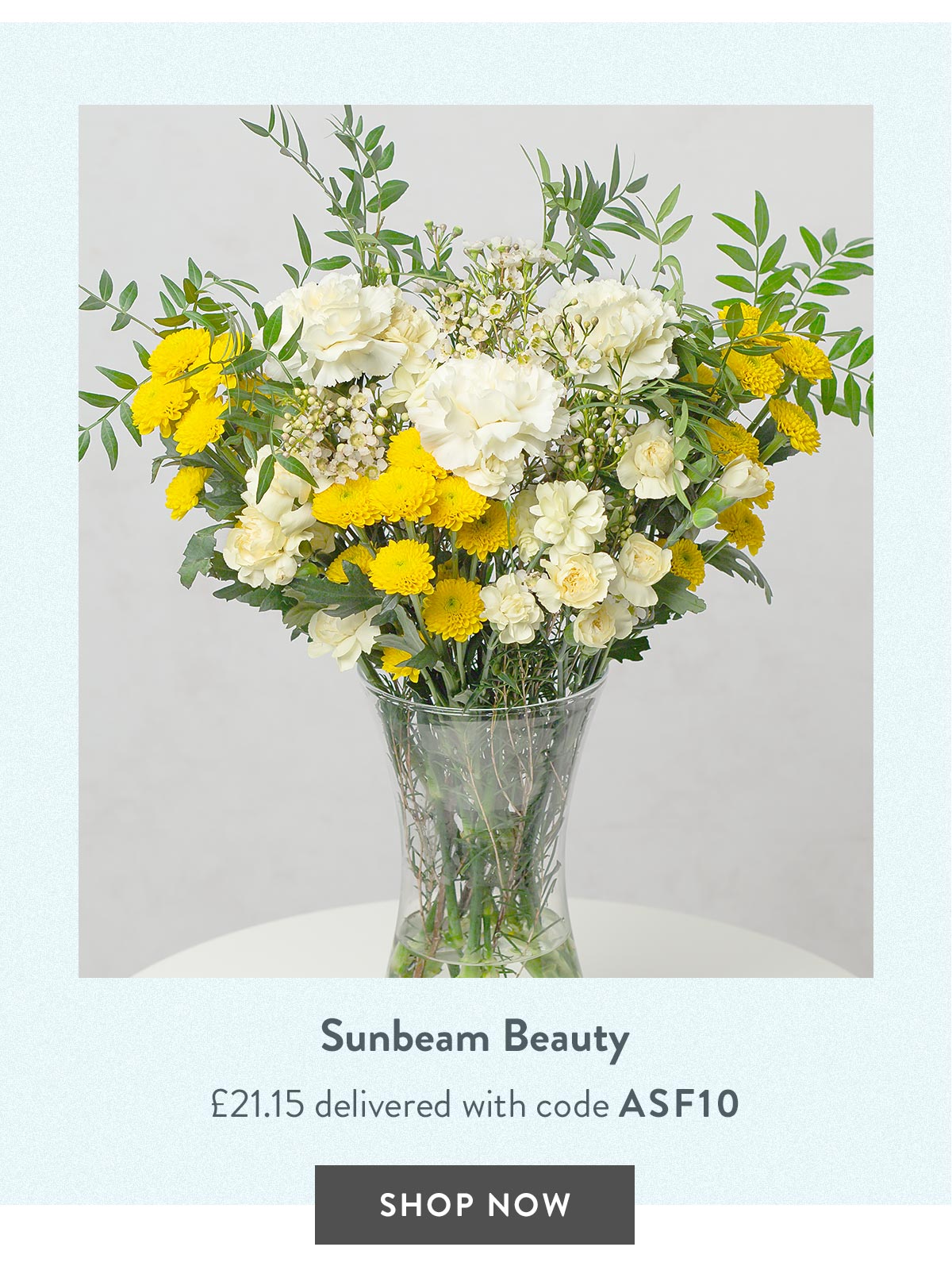 Sunbeam Beauty - only &pound;21.15 delivered