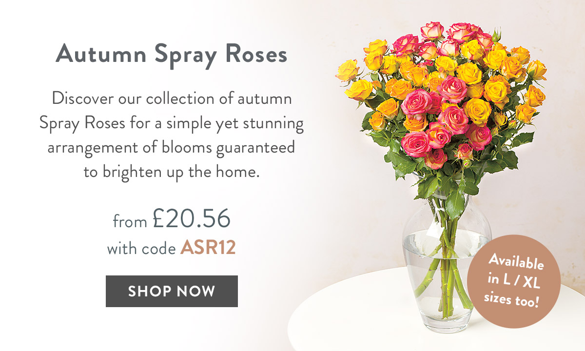 Autumn Spray Roses - from &pound;20.56 with code