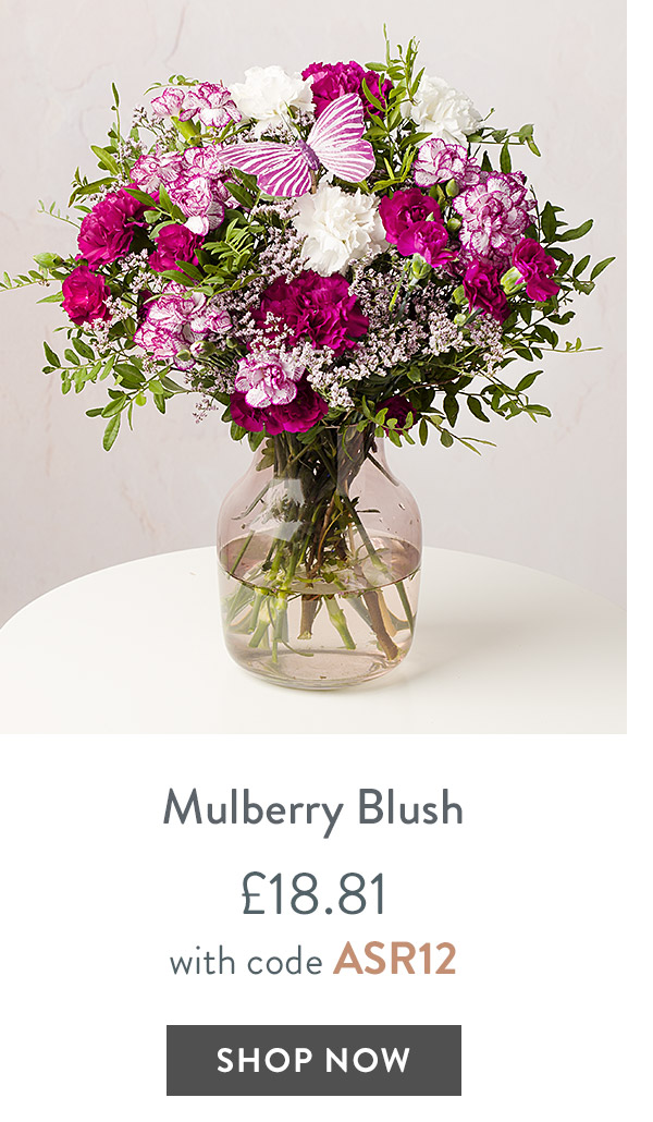 Mulberry Blush - only &pound;18.81 with code