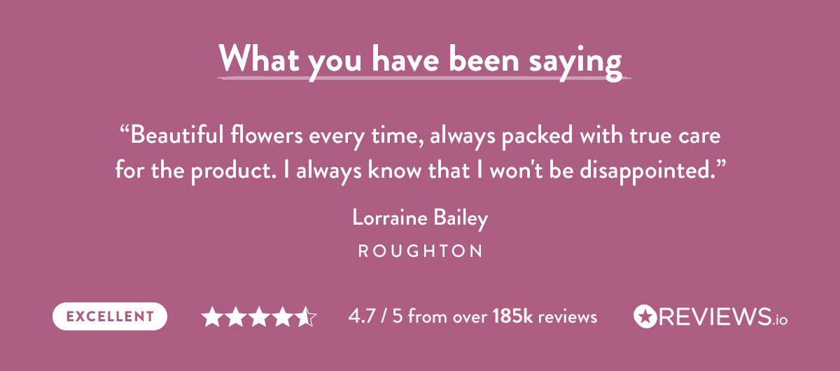 What you have been saying
