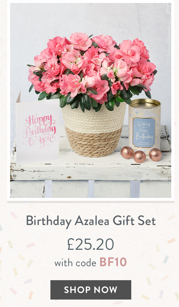 Birthday Azalea Gift Set - only &pound;25.20 with code