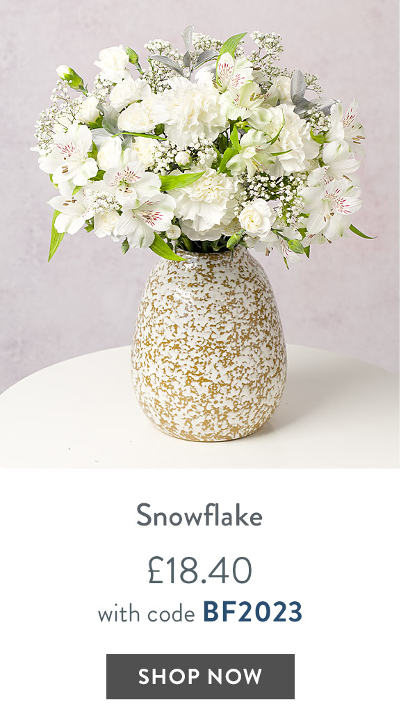 Snowflake - only &pound;18.40 with code