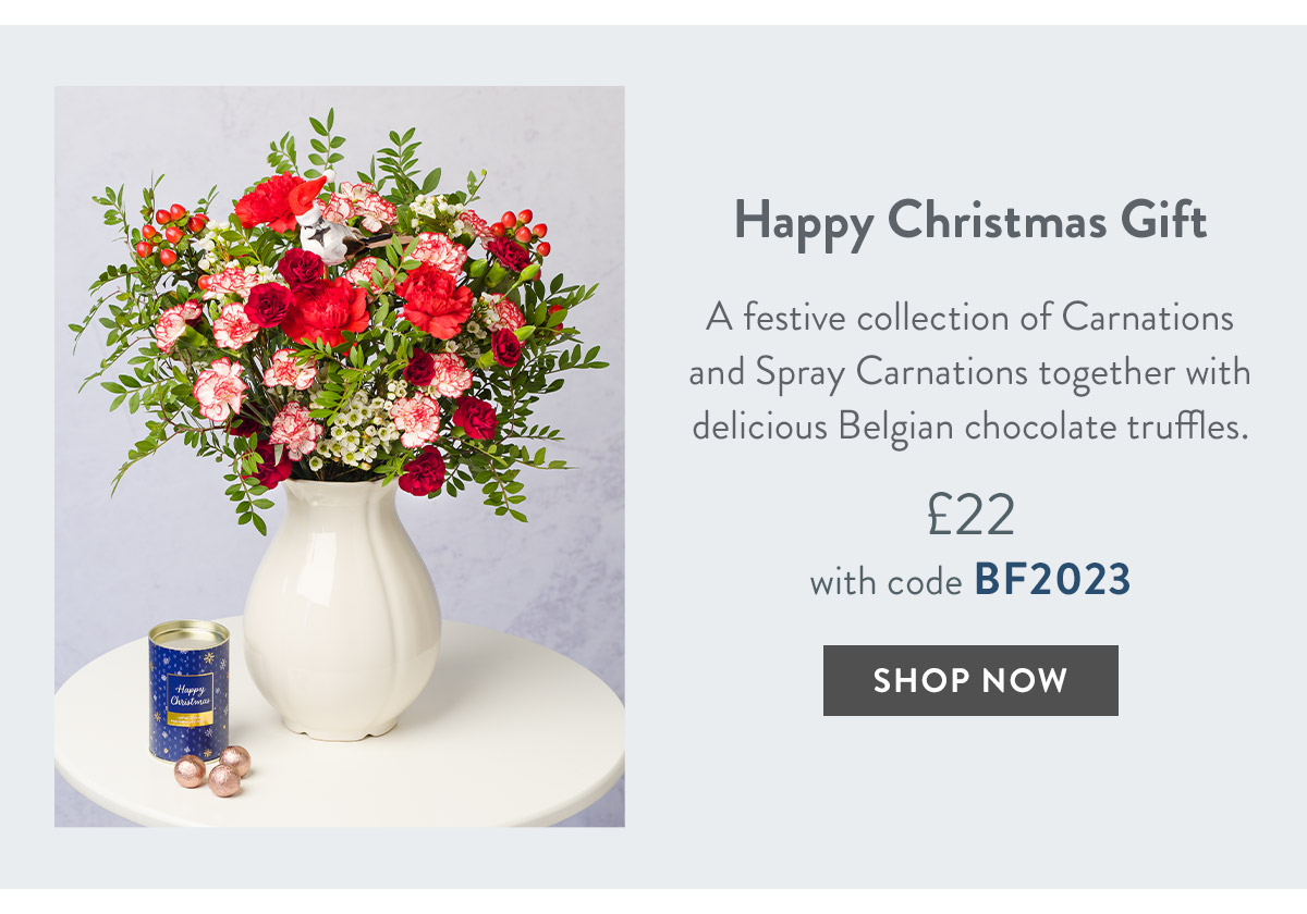 Happy Christmas Gift - only &pound;22 with code