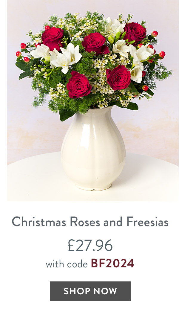 Christmas Roses and Freesias - only &pound;27.96 with code