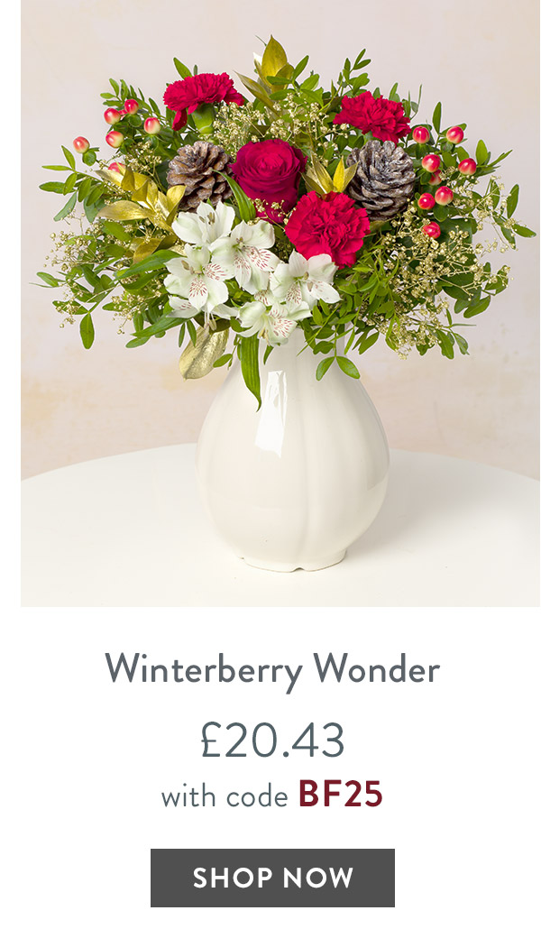 Winterberry Wonder - only &pound;20.43 with code