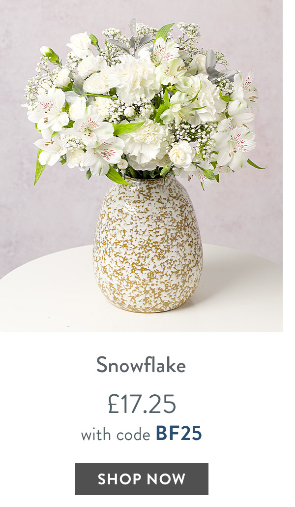 Snowflake - only &pound;17.25 with code