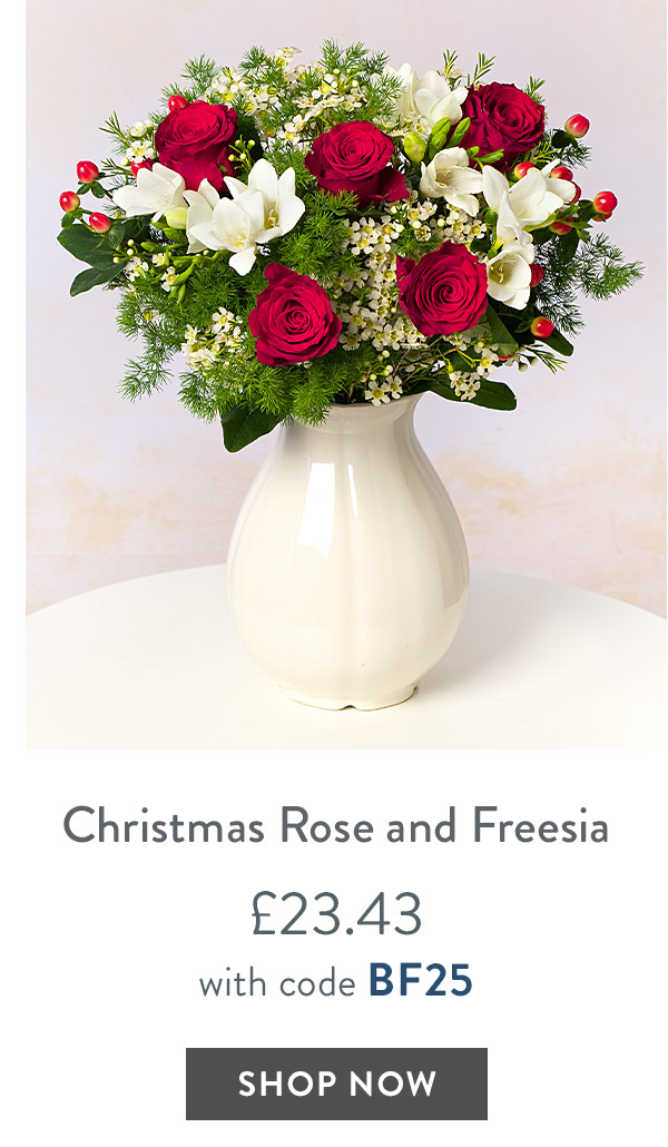 Christmas Rose and Freesia - only &pound;23.43 with code