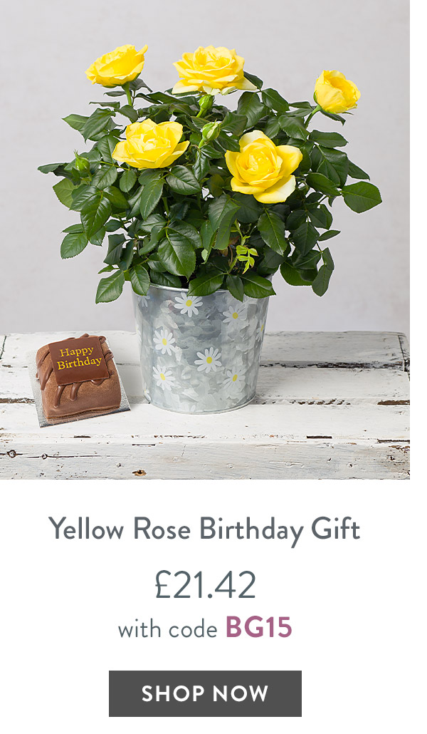 Yellow Rose Birthday Gift - only &pound;21.42 with code