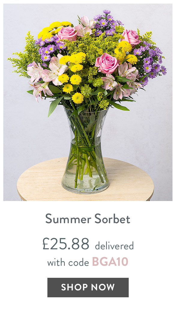 Summer Sorbet - only &pound;25.88 delivered