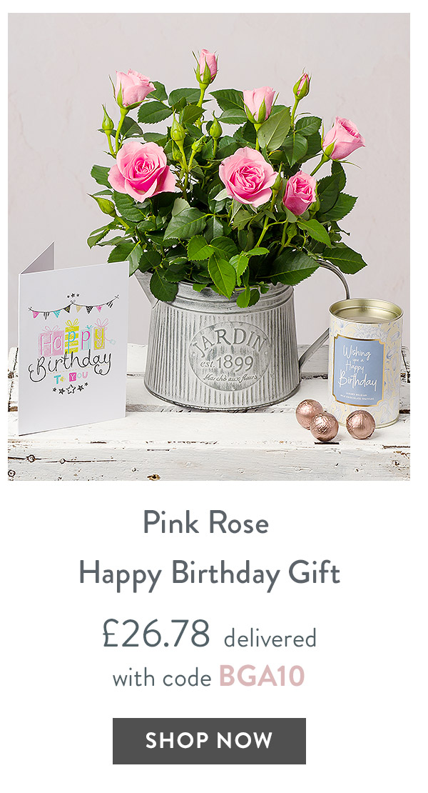 Pink Rose Happy Birthday Gift - only &pound;26.78 delivered