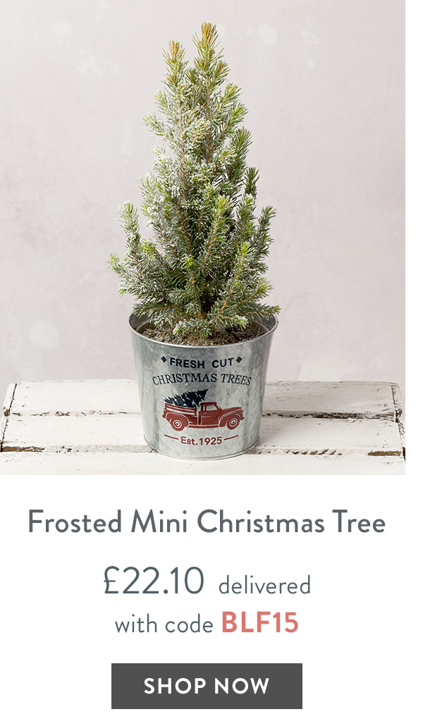 Frosted Mini Christmas Tree - only &pound;22.10 delivered