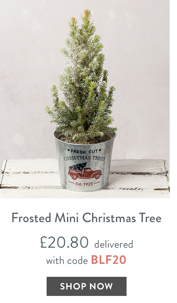 Frosted Mini Christmas Tree - only &pound;20.80 delivered