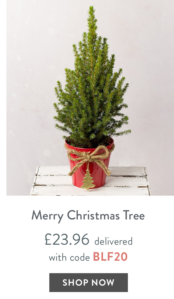 Merry Christmas Tree - only &pound;23.96 delivered