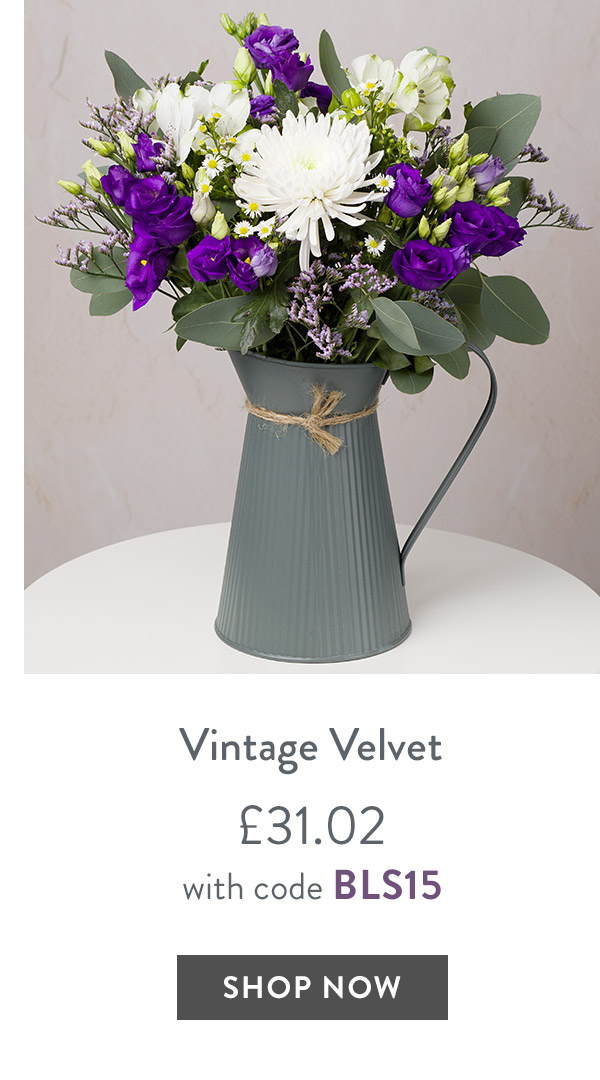 Vintage Velvet - only &pound;31.02 with code