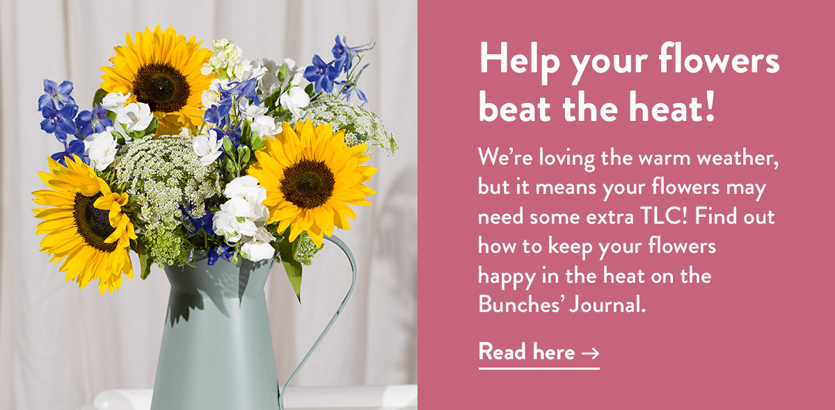 Help your flowers beat the heat!