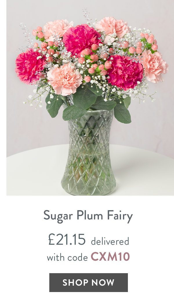 Sugar Plum Fairy - only &pound;21.15 delivered