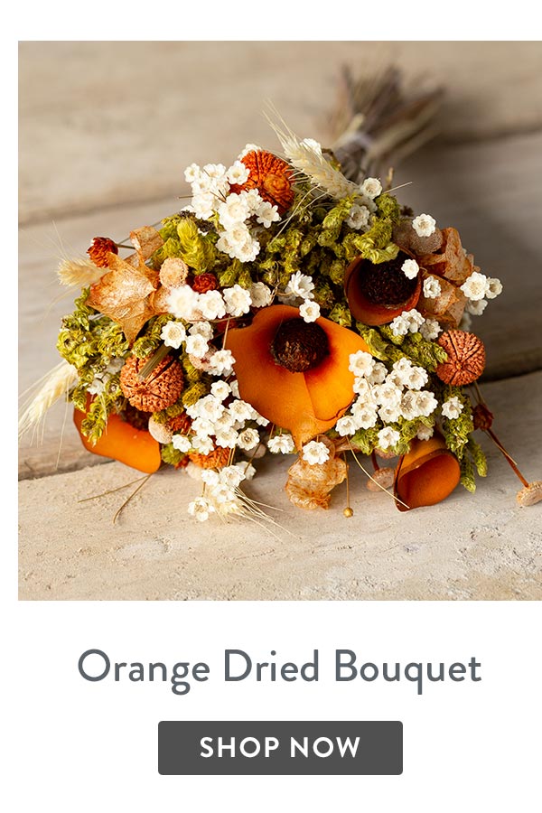 Orange Dried Bouquet - only &pound;22.50 delivered