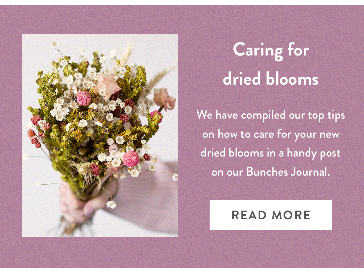 Caring for dried blooms