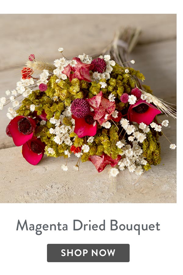 Magenta Dried Bouquet - only &pound;22.50 delivered