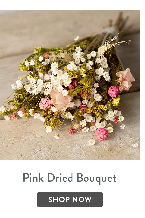 Pink Dried Bouquet - only &pound;22.50 delivered