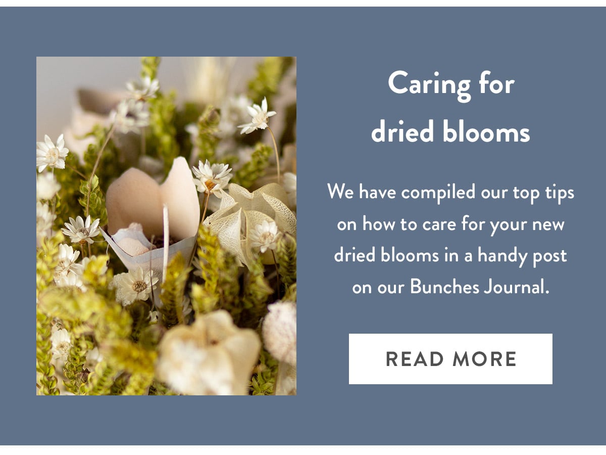 Caring for dried blooms